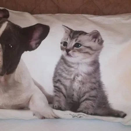 Bed & Breakfast Terra Bianca Trani