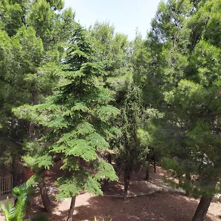 Terra Bianca ベッド・アンド・ブレックファスト